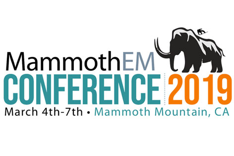 MammothEM Logo